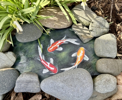 koi slate