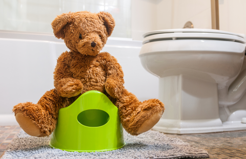 Cute little brown teddy bear straddles atop a bright green kiddy potty in a white bathroom