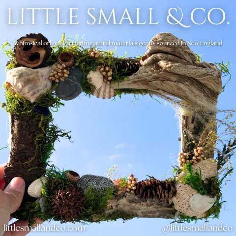 Found nature objects glued around a picture frame