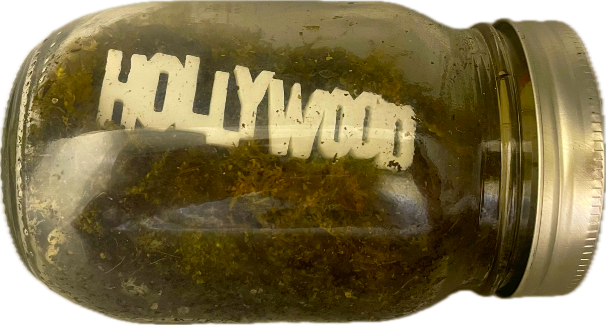 A mason jar terrarium with a hollywood sign inside.