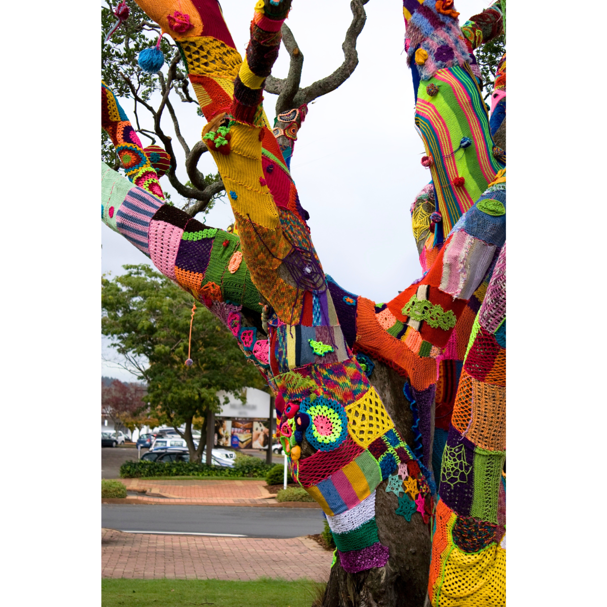 Yarn Bombed Tree